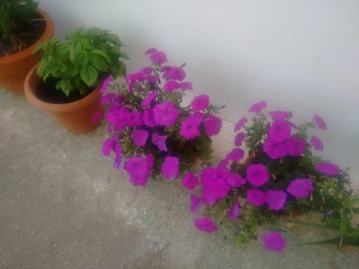 סן ויטו דיי נורמני Fenicepugliese מראה חיצוני תמונה