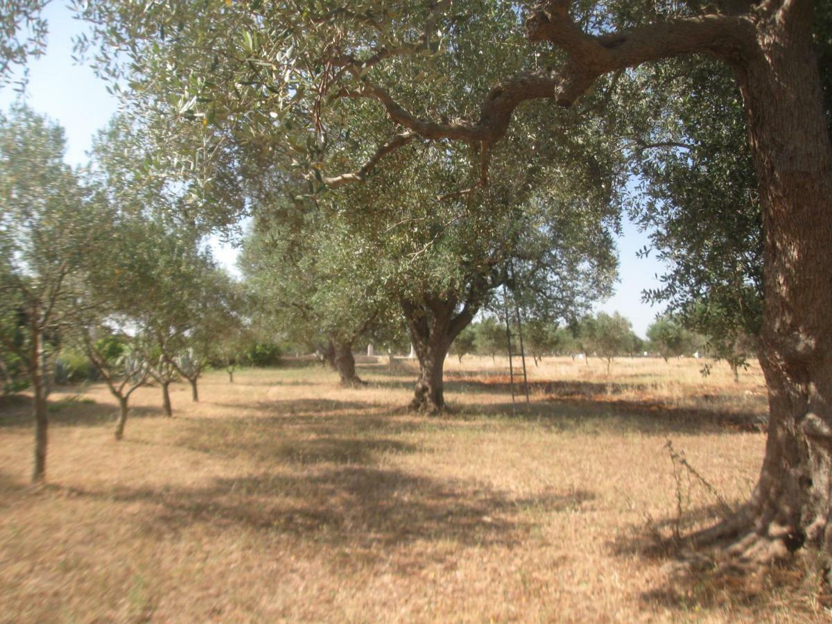 סן ויטו דיי נורמני Fenicepugliese מראה חיצוני תמונה