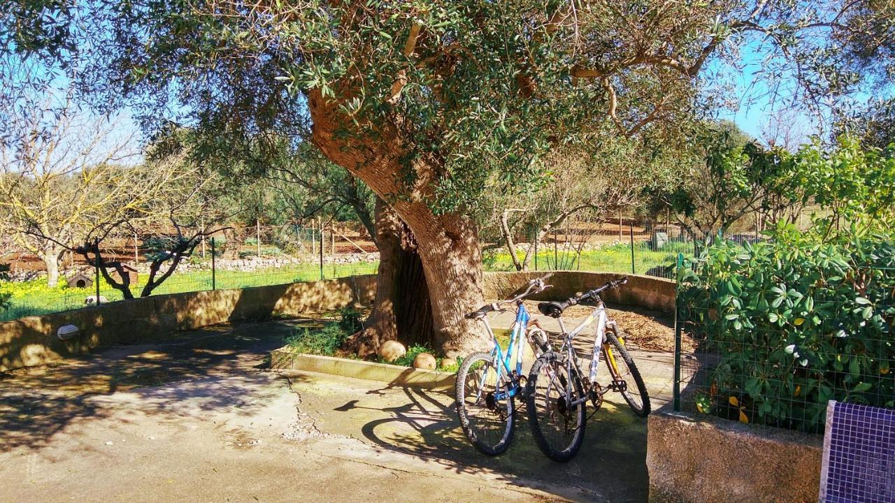 סן ויטו דיי נורמני Fenicepugliese מראה חיצוני תמונה